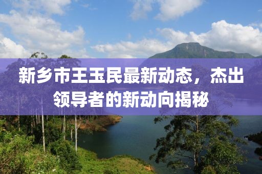 新乡市王玉民最新动态，杰出领导者的新动向揭秘