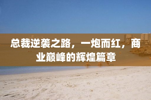总裁逆袭之路，一炮而红，商业巅峰的辉煌篇章