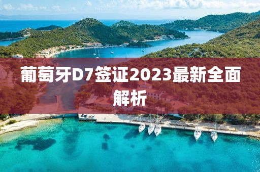 葡萄牙D7签证2023最新全面解析