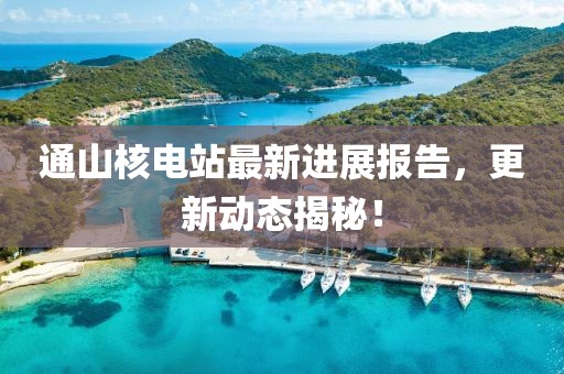 通山核电站最新进展报告，更新动态揭秘！
