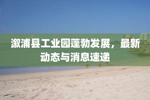 溆浦县工业园蓬勃发展，最新动态与消息速递