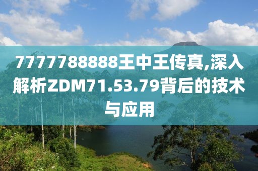 7777788888王中王传真,深入解析ZDM71.53.79背后的技术与应用