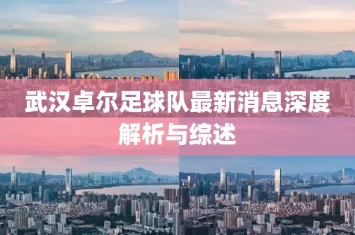 武汉卓尔足球队最新消息深度解析与综述