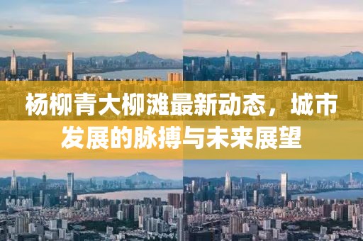 杨柳青大柳滩最新动态，城市发展的脉搏与未来展望