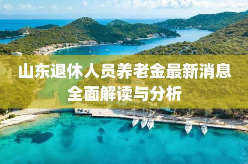 山东退休人员养老金最新消息全面解读与分析