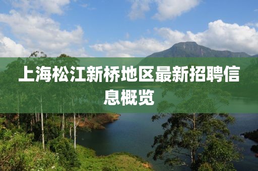 上海松江新桥地区最新招聘信息概览
