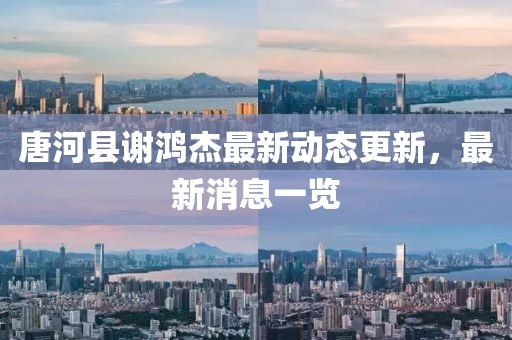 唐河县谢鸿杰最新动态更新，最新消息一览