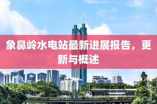 象鼻岭水电站最新进展报告，更新与概述