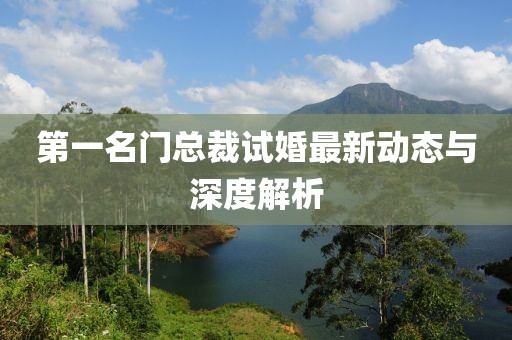 第一名门总裁试婚最新动态与深度解析