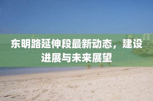东明路延伸段最新动态，建设进展与未来展望