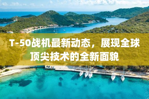 T-50战机最新动态，展现全球顶尖技术的全新面貌