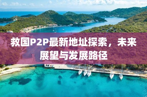 救国P2P最新地址探索，未来展望与发展路径