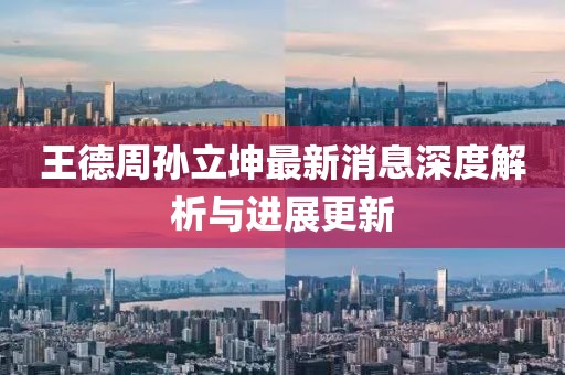 王德周孙立坤最新消息深度解析与进展更新