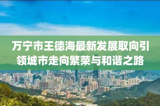 万宁市王德海最新发展取向引领城市走向繁荣与和谐之路