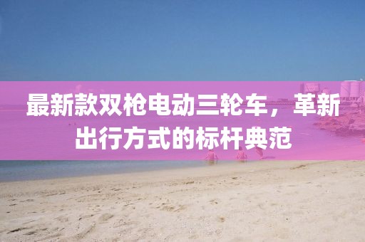 最新款双枪电动三轮车，革新出行方式的标杆典范