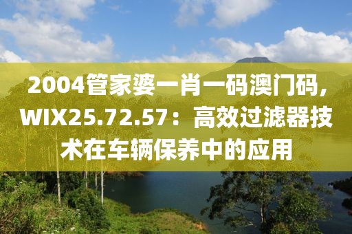 2004管家婆一肖一码澳门码,WIX25.72.57：高效过滤器技术在车辆保养中的应用