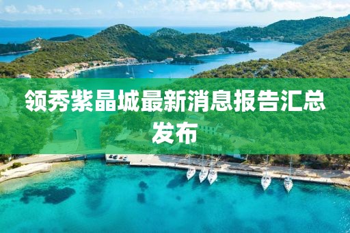 领秀紫晶城最新消息报告汇总发布