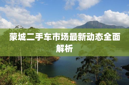 蒙城二手车市场最新动态全面解析