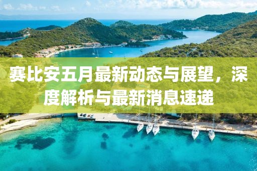 赛比安五月最新动态与展望，深度解析与最新消息速递