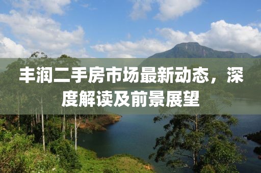 丰润二手房市场最新动态，深度解读及前景展望