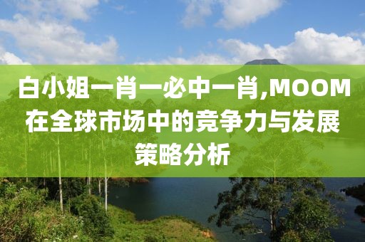 白小姐一肖一必中一肖,MOOM在全球市场中的竞争力与发展策略分析