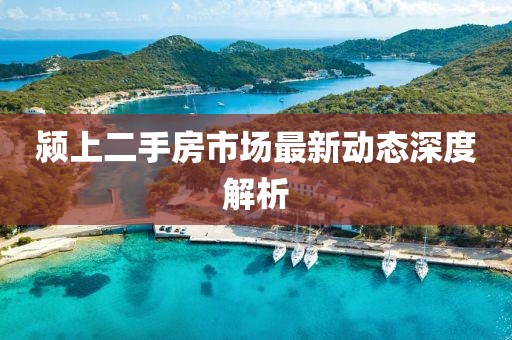 颍上二手房市场最新动态深度解析