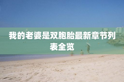 我的老婆是双胞胎最新章节列表全览