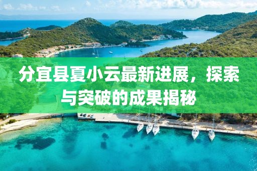 分宜县夏小云最新进展，探索与突破的成果揭秘