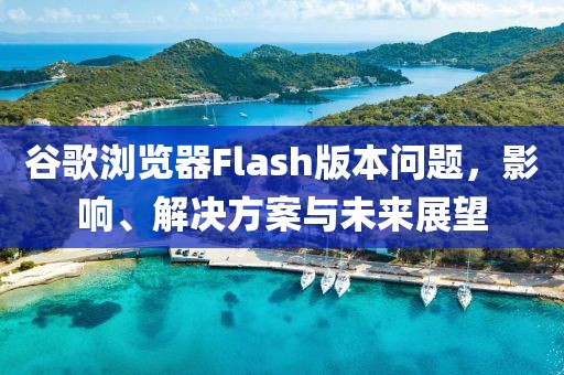 谷歌浏览器Flash版本问题，影响、解决方案与未来展望