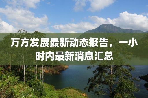 万方发展最新动态报告，一小时内最新消息汇总