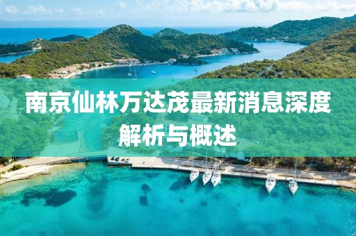 南京仙林万达茂最新消息深度解析与概述