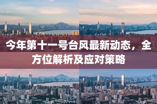 今年第十一号台风最新动态，全方位解析及应对策略