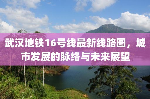 武汉地铁16号线最新线路图，城市发展的脉络与未来展望