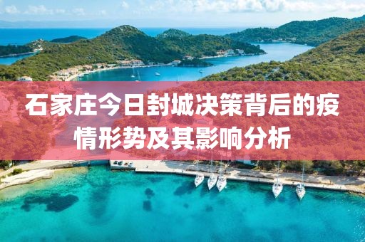 石家庄今日封城决策背后的疫情形势及其影响分析