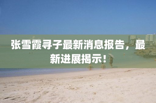 张雪霞寻子最新消息报告，最新进展揭示！