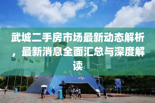 武城二手房市场最新动态解析，最新消息全面汇总与深度解读