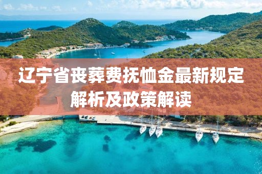 辽宁省丧葬费抚恤金最新规定解析及政策解读