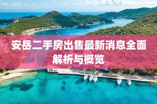 安岳二手房出售最新消息全面解析与概览