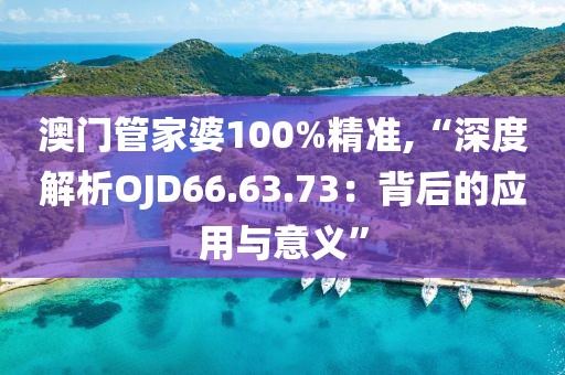 澳门管家婆100%精准,“深度解析OJD66.63.73：背后的应用与意义”