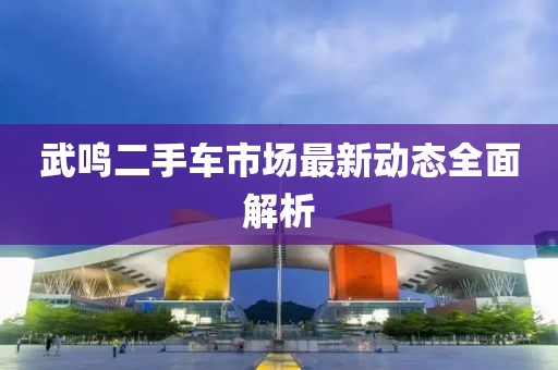 武鸣二手车市场最新动态全面解析