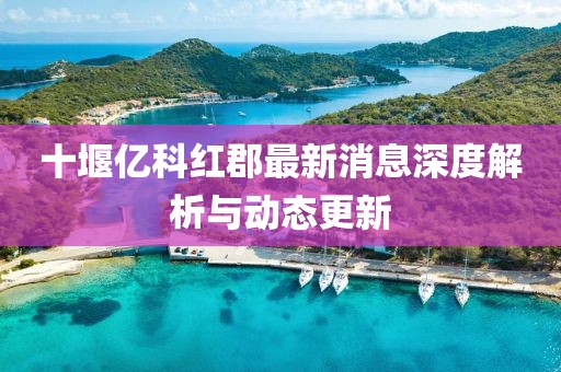 十堰亿科红郡最新消息深度解析与动态更新