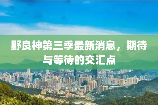野良神第三季最新消息，期待与等待的交汇点