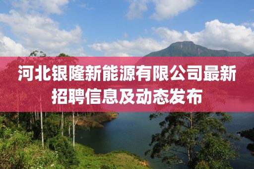 河北银隆新能源有限公司最新招聘信息及动态发布