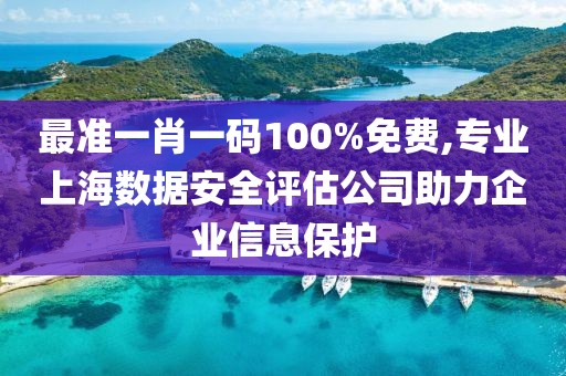最准一肖一码100%免费,专业上海数据安全评估公司助力企业信息保护
