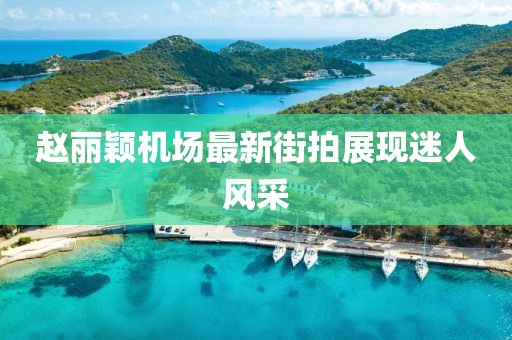 赵丽颖机场最新街拍展现迷人风采