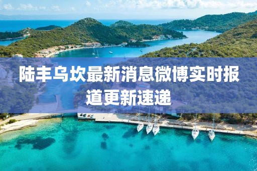 陆丰乌坎最新消息微博实时报道更新速递