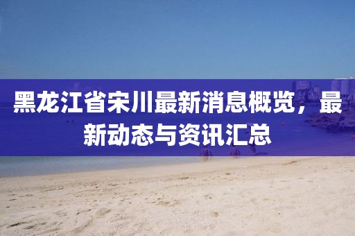 黑龙江省宋川最新消息概览，最新动态与资讯汇总