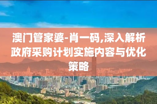 澳门管家婆-肖一码,深入解析政府采购计划实施内容与优化策略