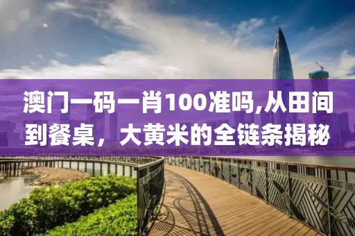 澳门一码一肖100准吗,从田间到餐桌，大黄米的全链条揭秘