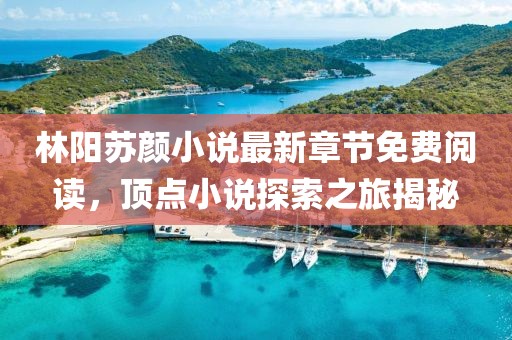 林阳苏颜小说最新章节免费阅读，顶点小说探索之旅揭秘